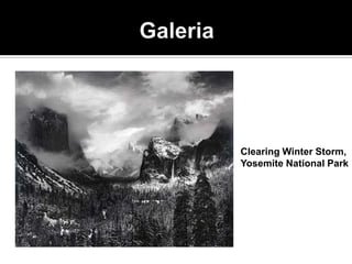 Clearing Winter Storm,
Yosemite National Park
 