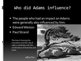 Who did Adams influence?

 The people who had an impact on Adams
  were generally also influenced by him.
 Edward Weston
 Paul Strand

 The tree is framing the
 mountains and the rule of
 odds is exhibited with the
 combination of branches and
 rocks.


                Jeffrey Pine
 