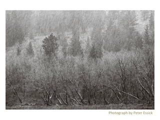 Photograph	
  by	
  Peter	
  Essick	
  

 