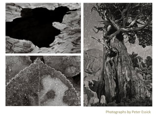 Photographs	
  by	
  Peter	
  Essick	
  

 