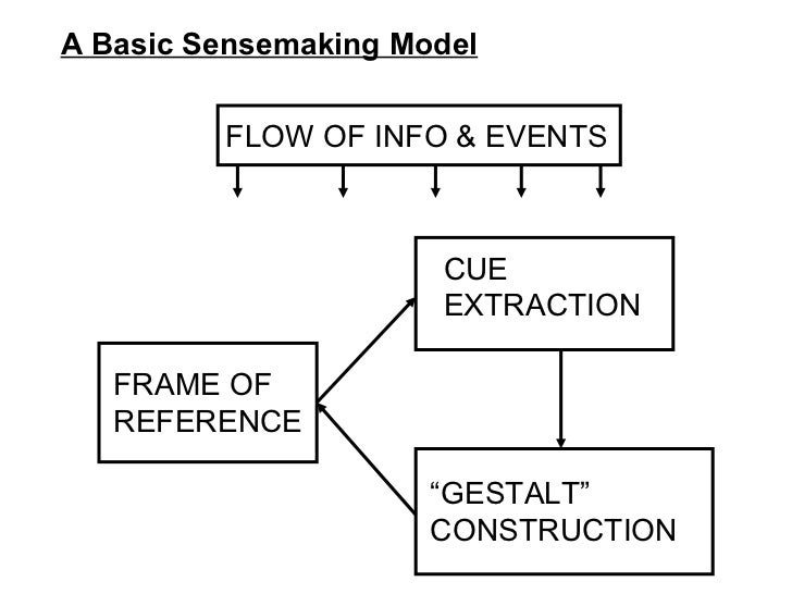 Ansell sensemaking lecture