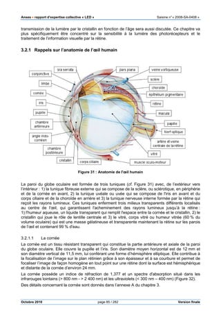 Anses •••• rapport d’expertise collective «
Octobre 2010
transmission de la lumière par le cristallin en fonction de l’âge sera
plus spécifiquement être concentré sur la sensibilité à
traitement de l’information visuelle par la rétine.
3.2.1 Rappels sur l’anatomie de l’œil humain
Figure
La paroi du globe oculaire est formée de trois tuniques (
l’intérieur : 1) la tunique fibreuse externe qui se compose de la sclère
et de la cornée en avant, 2) la tunique uvéale ou uvée qui se compose de l'
corps ciliaire et de la choroïde en arrière
reçoit les rayons lumineux. Ces tuniques enferment trois milieux transparents différents localisés
au centre de l'œil, qui garantisse
1) l'humeur aqueuse, un liquide transparent qui remplit l'espace entre la cornée et le cristallin, 2)
cristallin qui joue le rôle de lentille centrale
volume oculaire) qui est une masse gélatineuse et transparente maintenant la rétine sur les parois
de l’œil et contenant 99 % d'eau.
3.2.1.1 La cornée
La cornée est un tissu résistant transparent qui
du globe oculaire. Elle couvre la pupille et l’iris
son diamètre vertical de 11,5 mm, lui conférant une forme d’hémisphère elliptique. Elle contribue à
la focalisation de l’image sur le plan rétinien grâce à so
focaliser l’image de façon homogène en tout point sur une rétine dont la surface est hémisphérique
et distante de la cornée d’environ 24
La cornée possède un indice de réfraction de 1,377 et un spectre d'absorp
infrarouges lointains (> 800 nm -
Des détails concernant la cornée
pport d’expertise collective « LED » Saisine
page 85 / 282
transmission de la lumière par le cristallin en fonction de l’âge sera aussi discutée
plus spécifiquement être concentré sur la sensibilité à la lumière des photorécepteurs et le
traitement de l’information visuelle par la rétine.
l’anatomie de l’œil humain
Figure 31 : Anatomie de l'œil humain
La paroi du globe oculaire est formée de trois tuniques (cf. Figure 31) avec
a tunique fibreuse externe qui se compose de la sclère, ou sclérotique
a tunique uvéale ou uvée qui se compose de l'
corps ciliaire et de la choroïde en arrière et 3) la tunique nerveuse interne formée par la rétine qui
Ces tuniques enferment trois milieux transparents différents localisés
au centre de l'œil, qui garantissent l'acheminement des rayons lumineux jusqu’à la rétine
'humeur aqueuse, un liquide transparent qui remplit l'espace entre la cornée et le cristallin, 2)
cristallin qui joue le rôle de lentille centrale et 3) le vitré, corps vitré ou humeur vitré
qui est une masse gélatineuse et transparente maintenant la rétine sur les parois
d'eau.
La cornée est un tissu résistant transparent qui constitue la partie antérieure et axiale de la paroi
Elle couvre la pupille et l’iris. Son diamètre moyen horizontal est de 12
mm, lui conférant une forme d’hémisphère elliptique. Elle contribue à
la focalisation de l’image sur le plan rétinien grâce à son épaisseur et à sa courbure et permet de
focaliser l’image de façon homogène en tout point sur une rétine dont la surface est hémisphérique
et distante de la cornée d’environ 24 mm.
La cornée possède un indice de réfraction de 1,377 et un spectre d'absorp
> 2 400 nm) et les ultraviolets (< 300 nm – 400
détails concernant la cornée sont donnés dans l’annexe A du chapitre 3.
Saisine n°« 2008-SA-0408 »
Version finale
si discutée. Ce chapitre va
la lumière des photorécepteurs et le
) avec, de l’extérieur vers
ou sclérotique, en périphérie
a tunique uvéale ou uvée qui se compose de l'iris en avant et du
a tunique nerveuse interne formée par la rétine qui
Ces tuniques enferment trois milieux transparents différents localisés
nt l'acheminement des rayons lumineux jusqu’à la rétine :
'humeur aqueuse, un liquide transparent qui remplit l'espace entre la cornée et le cristallin, 2) le
e vitré, corps vitré ou humeur vitrée (60 % du
qui est une masse gélatineuse et transparente maintenant la rétine sur les parois
constitue la partie antérieure et axiale de la paroi
diamètre moyen horizontal est de 12 mm et
mm, lui conférant une forme d’hémisphère elliptique. Elle contribue à
n épaisseur et à sa courbure et permet de
focaliser l’image de façon homogène en tout point sur une rétine dont la surface est hémisphérique
La cornée possède un indice de réfraction de 1,377 et un spectre d'absorption situé dans les
400 nm) (Figure 32).
dans l’annexe A du chapitre 3.
 