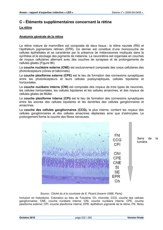 Anses •••• rapport d’expertise collective « LED » Saisine n°« 2008-SA-0408 »
Octobre 2010 page 222 / 282 Version finale
C - Éléments supplémentaires concernant la rétine
La rétine
Anatomie générale de la rétine
La rétine mature de mammifère est composée de deux tissus : la rétine neurale (RN) et
l’épithélium pigmentaire rétinien (EPR). Ce dernier est constitué d’une monocouche de
cellules épithéliales et se caractérise par la présence de mélanosomes impliqués dans la
synthèse et le stockage des pigments de mélanine. La neurorétine est organisée en couches
de noyaux cellulaires alternant avec des couches de synapses et de prolongements de
cellules gliales (Figure 96).
La couche nucléaire externe (CNE) est exclusivement composée des corps cellulaires des
photorécepteurs (cônes et bâtonnets).
La couche plexiforme externe (CPE) est le lieu de formation des connexions synaptiques
entre les photorécepteurs et leurs cellules postsynaptiques, cellules bipolaires et
horizontales.
La couche nucléaire interne (CNI) est composée des noyaux de trois types de neurones,
les cellules horizontales, les cellules bipolaires et les cellules amacrines, et des noyaux de
cellules gliales de Müller.
La couche plexiforme interne (CPI) est le lieu de formation des connexions synaptiques
entre les axones des cellules bipolaires et les dendrites des cellules ganglionnaires et
amacrines.
La couche des cellules ganglionnaires (CCG), la plus interne, contient les noyaux des
cellules ganglionnaires et des cellules amacrines déplacées ainsi que d’astrocytes. Le
prolongement forme la couche des fibres nerveuses.
Source : Cliché du à la courtoisie de E. Picard (Inserm U598, Paris).
Inclusion en historésine. Coloration au bleu de Toluidine. Ch, choroïde; CCG, couche des cellules
ganglionnaires; CNE, couche nucléaire interne; CNI, couche nucléaire interne; CPE, couche
plexiforme externe; CPI, couche plexiforme interne; EPR, épithélium pigmenté de la rétine; FN, fibres
Sens de la
lumiére
 