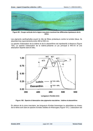 Anses •••• rapport d’expertise collective « LED » Saisine n°« 2008-SA-0408 »
Octobre 2010 page 225 / 282 Version finale
Figure 99 : Coupe verticale de la région maculaire montrant les différentes épaisseurs de la
rétine
Les pigments xanthophylles jouent le rôle de filtres protecteurs contre la lumière bleue. Ils
absorbent les rayonnements entre 400 et 500 nm.
Le spectre d’absorption de la lutéine et de la zéaxanthine est représenté ci-dessous (Figure
100). Le spectre d’absorption de la lutéine présente un pic principal à 445 nm et une
absorption répartie dans le bleu.
Figure 100 : Spectre d’absorption des pigments maculaires : lutéine et zéaxanthine
En dehors de la zone maculaire, les longueurs d'ondes transmises ou absorbées au niveau
de la rétine sont dans le spectre d'ondes visibles et infrarouges (Figure 101). L’absorption est
 