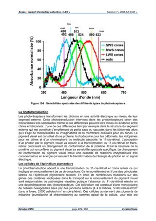 Anses •••• rapport d’expertise collective «
Octobre 2010
Figure 104 : Sensibilités spectrales des différents types de photorécepteurs
La phototransduction
Les photorécepteurs transforment les photons en une activité électrique au niveau de leur
segment externe. Cette phototra
mécanismes très semblables même si des différences peuvent être mises en évidence entre
cônes et bâtonnets. L’une de ces différences tient par exemple dans la structure du segment
externe qui est constitué d’empilement de petits sacs ou saccules dans les bâtonnets alors
qu’il s’agit de microvillosités ou invaginations de la membrane cellulaire pour les cônes. Le
pigment visuel est constitué d’une protéine, la rhodopsine pour les bâtonnets, les iodopsin
pour les cônes et d’un chromophore ou molécule associée, le 11
d’un photon par le pigment visuel va aboutir à la transformation du 11
retinal produisant un changement de conformation de la protéine. C’est l
protéine qui va conférer au pigment visuel sa sensibilité spectrale spécifique. Le changement
de conformation du pigment visuel induit une cascade de réactions enzymatiques très
consommatrice en énergie qui assurent la transformation de l
électrique.
Les cellules de l’épithélium pigmentaire
La phototransduction aboutit à une transformation du 11
implique un renouvellement de ce chromophore. Ce renouvellement est l’une des
tâches de l’épithélium pigmentaire rétinien. En effet, de nombreuses mutations sur des
gènes des protéines impliquées dans le transport ou le renouvellement du pigment visuel
sont responsables de pathologies visuelles puisque l’absence du 11
une dégénérescence des photorécepteurs. Cet épithélium est constitué d’une
de cellules hexagonales liées par des jonctions serrées (4 à 6
dans la fovea, 2 000 cellules/mm
mélanine (eumélanine et phéomélanine) au sommet apical de la cellule. Leur rôle est
pport d’expertise collective « LED » Saisine
page 229 / 282
: Sensibilités spectrales des différents types de photorécepteurs
Les photorécepteurs transforment les photons en une activité électrique au niveau de leur
segment externe. Cette phototransduction intervient dans les photorécepteurs selon des
mécanismes très semblables même si des différences peuvent être mises en évidence entre
cônes et bâtonnets. L’une de ces différences tient par exemple dans la structure du segment
titué d’empilement de petits sacs ou saccules dans les bâtonnets alors
qu’il s’agit de microvillosités ou invaginations de la membrane cellulaire pour les cônes. Le
pigment visuel est constitué d’une protéine, la rhodopsine pour les bâtonnets, les iodopsin
pour les cônes et d’un chromophore ou molécule associée, le 11-cis-rétinal. L’absorption
d’un photon par le pigment visuel va aboutir à la transformation du 11-cis
retinal produisant un changement de conformation de la protéine. C’est l
protéine qui va conférer au pigment visuel sa sensibilité spectrale spécifique. Le changement
de conformation du pigment visuel induit une cascade de réactions enzymatiques très
consommatrice en énergie qui assurent la transformation de l’énergie du photon en un signal
Les cellules de l’épithélium pigmentaire
La phototransduction aboutit à une transformation du 11-cis-rétinal en trans rétinal ce qui
implique un renouvellement de ce chromophore. Ce renouvellement est l’une des
tâches de l’épithélium pigmentaire rétinien. En effet, de nombreuses mutations sur des
gènes des protéines impliquées dans le transport ou le renouvellement du pigment visuel
sont responsables de pathologies visuelles puisque l’absence du 11-cis
une dégénérescence des photorécepteurs. Cet épithélium est constitué d’une
de cellules hexagonales liées par des jonctions serrées (4 à 6 millions, 5
cellules/mm2
en périphérie). Ces cellules contiennent des pigments de
mélanine (eumélanine et phéomélanine) au sommet apical de la cellule. Leur rôle est
Saisine n°« 2008-SA-0408 »
Version finale
: Sensibilités spectrales des différents types de photorécepteurs
Les photorécepteurs transforment les photons en une activité électrique au niveau de leur
nsduction intervient dans les photorécepteurs selon des
mécanismes très semblables même si des différences peuvent être mises en évidence entre
cônes et bâtonnets. L’une de ces différences tient par exemple dans la structure du segment
titué d’empilement de petits sacs ou saccules dans les bâtonnets alors
qu’il s’agit de microvillosités ou invaginations de la membrane cellulaire pour les cônes. Le
pigment visuel est constitué d’une protéine, la rhodopsine pour les bâtonnets, les iodopsines
rétinal. L’absorption
cis-rétinal en trans-
retinal produisant un changement de conformation de la protéine. C’est la structure de la
protéine qui va conférer au pigment visuel sa sensibilité spectrale spécifique. Le changement
de conformation du pigment visuel induit une cascade de réactions enzymatiques très
’énergie du photon en un signal
rétinal en trans rétinal ce qui
implique un renouvellement de ce chromophore. Ce renouvellement est l’une des principales
tâches de l’épithélium pigmentaire rétinien. En effet, de nombreuses mutations sur des
gènes des protéines impliquées dans le transport ou le renouvellement du pigment visuel
s-rétinal résulte en
une dégénérescence des photorécepteurs. Cet épithélium est constitué d’une monocouche
millions, 5 000 cellules/mm2
lules contiennent des pigments de
mélanine (eumélanine et phéomélanine) au sommet apical de la cellule. Leur rôle est
 