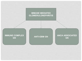 IMMUNE MEDIATED
GLOMERULONEPHRITIS
IMMUNE COMPLEX
GN
ANTI-GBM GN
ANCA ASSOCIATED
GN
 