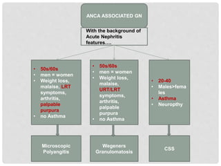 ANCA ASSOCIATED GN
With the background of
Acute Nephritis
features….
• 50s/60s
• men = women
• Weight loss,
malaise, LRT
symptoms,
arthritis,
palpable
purpura
• no Asthma
• 50s/60s
• men = women
• Weight loss,
malaise,
URT/LRT
symptoms,
arthritis,
palpable
purpura
• no Asthma
• 20-40
• Males>fema
les
• Asthma
• Neuropthy
Microscopic
Polyangitis
Wegeners
Granulomatosis
CSS
 