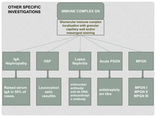 IMMUNE COMPLEX GN
Glomerular immune complex
localisatIon with granular
capillary wall and/or
mesangeal staining
Raised serum
IgA in 50% of
cases,
Leucocytocl
astic
vasulitis
antinuclear
antibody/
anti-ds DNA,
anticardiolipi
n antibody
antistreptoly
sin titre
MPGN I
MPGN II
MPGN III
IgA
Nephropathy
HSP
Lupus
Nephritis
Acute PSGN MPGN
OTHER SPECIFIC
INVESTIGATIONS
 