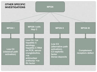 MPGN
Low C4
(classical path
activation)
Low C3
(alternative path
activation),
C3 nephritic
factor
Dense deposits
Complement
receptors defect
MPGN I MPGN II MPGN III
Low C4, +ve
hepatitis C
serology,
hepatitis C RNA
on PCR, serum
cryoglobulins,
+ve
antinuclear
antibody/ +ve
Rh factor
MPGN I with
Hep C
OTHER SPECIFIC
INVESTIGATIONS
 