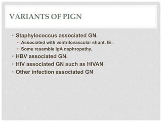 VARIANTS OF PIGN
• Staphylococcus associated GN.
• Associated with ventrilovascular shunt, IE .
• Some resemble IgA nephropathy.
• HBV associated GN.
• HIV associated GN such as HIVAN
• Other infection associated GN
 