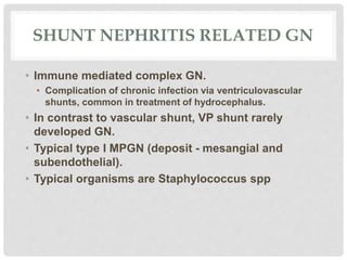 SHUNT NEPHRITIS RELATED GN
• Immune mediated complex GN.
• Complication of chronic infection via ventriculovascular
shunts, common in treatment of hydrocephalus.
• In contrast to vascular shunt, VP shunt rarely
developed GN.
• Typical type I MPGN (deposit - mesangial and
subendothelial).
• Typical organisms are Staphylococcus spp
 