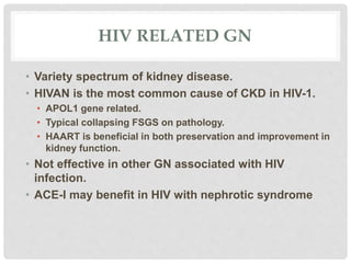 HIV RELATED GN
• Variety spectrum of kidney disease.
• HIVAN is the most common cause of CKD in HIV-1.
• APOL1 gene related.
• Typical collapsing FSGS on pathology.
• HAART is beneficial in both preservation and improvement in
kidney function.
• Not effective in other GN associated with HIV
infection.
• ACE-I may benefit in HIV with nephrotic syndrome
 