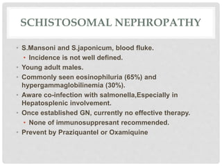 SCHISTOSOMAL NEPHROPATHY
• S.Mansoni and S.japonicum, blood fluke.
• Incidence is not well defined.
• Young adult males.
• Commonly seen eosinophiluria (65%) and
hypergammaglobilinemia (30%).
• Aware co-infection with salmonella,Especially in
Hepatosplenic involvement.
• Once established GN, currently no effective therapy.
• None of immunosuppresant recommended.
• Prevent by Praziquantel or Oxamiquine
 