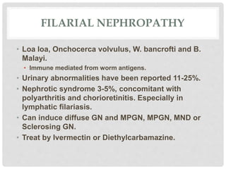 FILARIAL NEPHROPATHY
• Loa loa, Onchocerca volvulus, W. bancrofti and B.
Malayi.
• Immune mediated from worm antigens.
• Urinary abnormalities have been reported 11-25%.
• Nephrotic syndrome 3-5%, concomitant with
polyarthritis and chorioretinitis. Especially in
lymphatic filariasis.
• Can induce diffuse GN and MPGN, MPGN, MND or
Sclerosing GN.
• Treat by Ivermectin or Diethylcarbamazine.
 