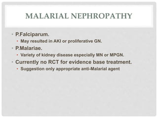 MALARIAL NEPHROPATHY
• P.Falciparum.
• May resulted in AKI or proliferative GN.
• P.Malariae.
• Variety of kidney disease especially MN or MPGN.
• Currently no RCT for evidence base treatment.
• Suggestion only appropriate anti-Malarial agent
 