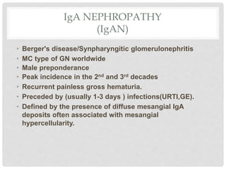 IgA NEPHROPATHY
(IgAN)
• Berger's disease/Synpharyngitic glomerulonephritis
• MC type of GN worldwide
• Male preponderance
• Peak incidence in the 2nd and 3rd decades
• Recurrent painless gross hematuria.
• Preceded by (usually 1-3 days ) infections(URTI,GE).
• Defined by the presence of diffuse mesangial IgA
deposits often associated with mesangial
hypercellularity.
 