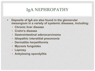IgA NEPHROPATHY
• Deposits of IgA are also found in the glomerular
mesangium in a variety of systemic diseases, including:
• Chronic liver disease
• Crohn's disease
• Gastrointestinal adenocarcinoma
• Idiopathic interstitial pneumonia
• Dermatitis herpetiformis
• Mycosis fungoides
• Leprosy
• Ankylosing spondylitis
 