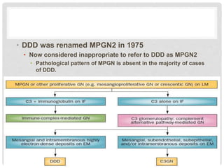 • DDD was renamed MPGN2 in 1975
• Now considered inappropriate to refer to DDD as MPGN2
• Pathological pattern of MPGN is absent in the majority of cases
of DDD.
 