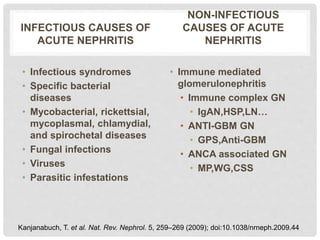 INFECTIOUS CAUSES OF
ACUTE NEPHRITIS
• Infectious syndromes
• Specific bacterial
diseases
• Mycobacterial, rickettsial,
mycoplasmal, chlamydial,
and spirochetal diseases
• Fungal infections
• Viruses
• Parasitic infestations
NON-INFECTIOUS
CAUSES OF ACUTE
NEPHRITIS
• Immune mediated
glomerulonephritis
• Immune complex GN
• IgAN,HSP,LN…
• ANTI-GBM GN
• GPS,Anti-GBM
• ANCA associated GN
• MP,WG,CSS
Kanjanabuch, T. et al. Nat. Rev. Nephrol. 5, 259–269 (2009); doi:10.1038/nrneph.2009.44
 