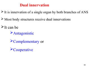ANS for Med I teacher not .ppt autonomic nervous system for medical ...