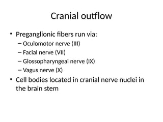 Cranial outflow
• Preganglionic fibers run via:
– Oculomotor nerve (III)
– Facial nerve (VII)
– Glossopharyngeal nerve (IX)
– Vagus nerve (X)
• Cell bodies located in cranial nerve nuclei in
the brain stem
 