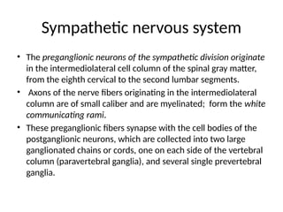 Sympathetic nervous system
• The preganglionic neurons of the sympathetic division originate
in the intermediolateral cell column of the spinal gray matter,
from the eighth cervical to the second lumbar segments.
• Axons of the nerve fibers originating in the intermediolateral
column are of small caliber and are myelinated; form the white
communicating rami.
• These preganglionic fibers synapse with the cell bodies of the
postganglionic neurons, which are collected into two large
ganglionated chains or cords, one on each side of the vertebral
column (paravertebral ganglia), and several single prevertebral
ganglia.
 