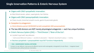 Overview of Autonomic Nervous System and Cholinergic Transmission | PPTX