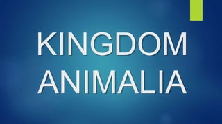 KINGDOM
ANIMALIA
 