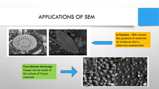 Anshika 37281.pptx SCANNING ELECTRON MICROSCOPY | PPTX