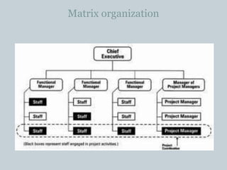 Matrix organization
 
