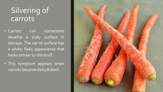 Silvering of
carrots
• Carrots can sometimes
develop a scaly surface in
storage. The carrot surface has
a white, flaky appearance that
looks similar to dandruff.
• This symptom appears when
carrots become dehydrated.
 
