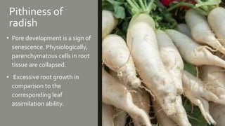 Pithiness of
radish
• Pore development is a sign of
senescence. Physiologically,
parenchymatous cells in root
tissue are collapsed.
• Excessive root growth in
comparison to the
corresponding leaf
assimilation ability.
 