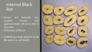 Internal Black
Rot
• lesions are typically tan,
roughly circular, and
approximately 1/8 of an inch in
diameter.
• Deficiency of Boron
• underlying cause appears to be
the same i.e. cell death.
 