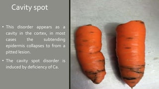 Physiological disorders of vegetables | PPTX