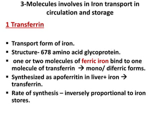 3-Molecules involves in Iron transport in
circulation and storage
1 Transferrin
 Transport form of iron.
 Structure- 678 amino acid glycoprotein.
 one or two molecules of ferric iron bind to one
molecule of transferrin  mono/ diferric forms.
 Synthesized as apoferritin in liver+ iron 
transferrin.
 Rate of synthesis – inversely proportional to iron
stores.
 