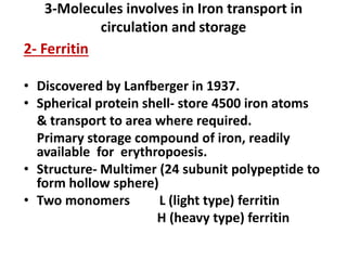 3-Molecules involves in Iron transport in
circulation and storage
2- Ferritin
• Discovered by Lanfberger in 1937.
• Spherical protein shell- store 4500 iron atoms
& transport to area where required.
Primary storage compound of iron, readily
available for erythropoesis.
• Structure- Multimer (24 subunit polypeptide to
form hollow sphere)
• Two monomers L (light type) ferritin
H (heavy type) ferritin
 
