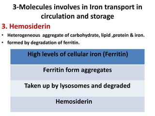 3-Molecules involves in Iron transport in
circulation and storage
3. Hemosiderin
• Heterogeneous aggregate of carbohydrate, lipid ,protein & iron.
• formed by degradation of ferritin.
High levels of cellular iron (Ferritin)
Ferritin form aggregates
Taken up by lysosomes and degraded
Hemosiderin
 