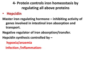 4- Protein controls iron homeostasis by
regulating all above proteins
• Hepcidin
Master iron regulating hormone – inhibiting activity of
genes involved in intestinal iron absorption and
transport.
Negative regulator of iron absorption/transfer.
Hepcidin synthesis controlled by –
hypoxia/anaemia
Infection /inflammation-
 