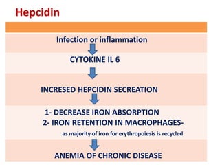 Hepcidin
Infection or inflammation
CYTOKINE IL 6
INCRESED HEPCIDIN SECREATION
1- DECREASE IRON ABSORPTION
2- IRON RETENTION IN MACROPHAGES-
as majority of iron for erythropoiesis is recycled
ANEMIA OF CHRONIC DISEASE
 