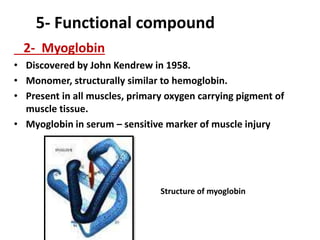 5- Functional compound
2- Myoglobin
• Discovered by John Kendrew in 1958.
• Monomer, structurally similar to hemoglobin.
• Present in all muscles, primary oxygen carrying pigment of
muscle tissue.
• Myoglobin in serum – sensitive marker of muscle injury
Structure of myoglobin
 