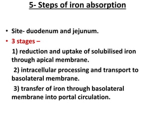 5- Steps of iron absorption
• Site- duodenum and jejunum.
• 3 stages –
1) reduction and uptake of solubilised iron
through apical membrane.
2) intracellular processing and transport to
basolateral membrane.
3) transfer of iron through basolateral
membrane into portal circulation.
 