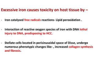 Excessive iron causes toxicity on host tissue by –
- Iron catalysed free radicals reactions- Lipid peroxidation .
- Interaction of reactive oxygen species of iron with DNA lethal
injury to DNA, predisposing to HCC.
- Stellate cells located in perisinusoidal space of Disse, undergo
numerous phenotypic changes like- , increased collagen synthesis
and fibrosis.
 
