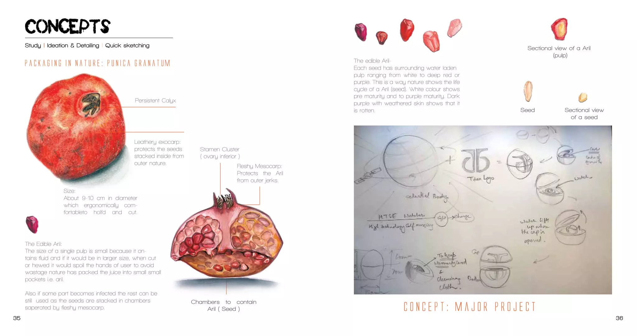 Concepts
Ideation & Detailing | Quick sketching

35

36

 