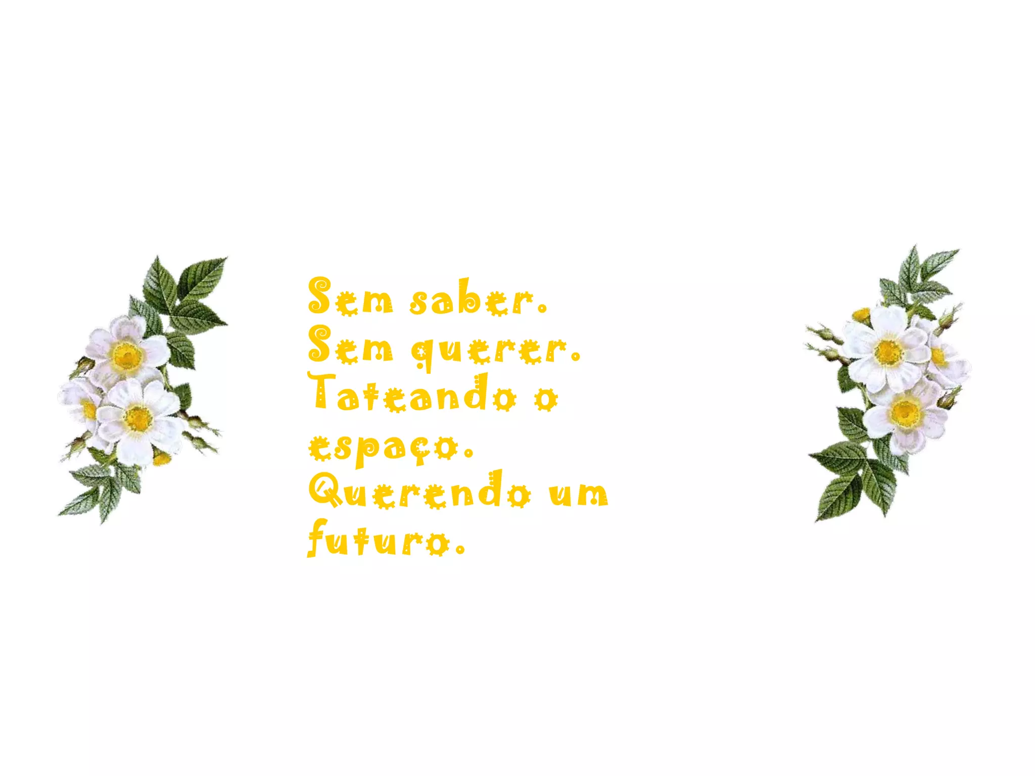 Sem saber.
Sem querer.
Tateando o
espaço.
Querendo um
futuro.
 