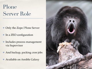 Plone 
Server Role
✤ Only the Zope/Plone Server
✤ In a ZEO conﬁguration
✤ Includes process management
via Supervisor
✤ And backup, packing cron jobs
✤ Available on Ansible Galaxy
 