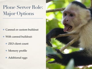 Plone Server Role: 
Major Options
✤ Canned or custom buildout
✤ With canned buildout:
✤ ZEO client count
✤ Memory proﬁle
✤ Additional eggs
 