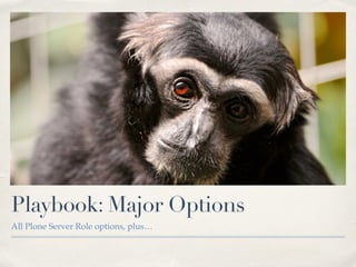 Playbook: Major Options
All Plone Server Role options, plus…
 