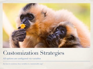 But how to customize those variables in a maintainable way?
Customization Strategies
All options are conﬁgured via variables
 