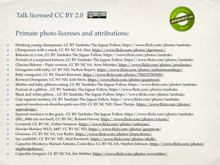 ✤ Drinking young chimpanzee, CC BY Tambako The Jaguar Follow, https://www.ﬂickr.com/photos/tambako
✤ Chimpanzee with a snack, CC BY NC SA, Dan, https://www.ﬂickr.com/photos/dgermony/
✤ Baboons in a row, CC BY Tambako The Jaguar Follow, https://www.ﬂickr.com/photos/tambako
✤ Portrait of a surprised baboon, CC BY Tambako The Jaguar Follow, https://www.ﬂickr.com/photos/tambako
✤ Chacma Baboon - Papio ursinus, CC BY NC SA, Arno Meintjes, https://www.ﬂickr.com/photos/arnolouise/
✤ Orangutan with baby, CC BY ND, Nathan Rupert, https://www.ﬂickr.com/photos/nathaninsandiego/
✤ Baby orangutan, CC BY, Daniel Kleeman, https://www.ﬂickr.com/photos/75821270@N00/
✤ Bornean Orangutan, CC NY ND, Josh More, https://www.ﬂickr.com/photos/guppiecat/
✤ Mother and baby gibbons eating, CC BY Tambako The Jaguar Follow, https://www.ﬂickr.com/photos/tambako
✤ Portrait of a gibbon, , CC BY Tambako The Jaguar Follow, https://www.ﬂickr.com/photos/tambako
✤ Black and white gibbon, , CC BY Tambako The Jaguar Follow, https://www.ﬂickr.com/photos/tambako
✤ Cute squirrel monkey, CC BY Tambako The Jaguar Follow, https://www.ﬂickr.com/photos/tambako
✤ squirrel-monkeys-at-drusillas-park-zoo-018, CC BY NC ND, Dean Thorpe, https://www.ﬂickr.com/photos/
aspexdesign/
✤ Squirrel monkeys in the grass, CC BY Tambako The Jaguar Follow, https://www.ﬂickr.com/photos/tambako
✤ IMG_4986 (do not feed), CC BY NC, Roland Harvey, https://www.ﬂickr.com/photos/rolymo/
✤ Cornered, CC BY NC, Esther Simpson, https://www.ﬂickr.com/photos/estherase/
✤ Howler Monkey WLD_4487, CC BY NC ND, https://www.ﬂickr.com/photos/guppiecat/
✤ Ooooooo, CC BY NC SA, Len Radin, https://www.ﬂickr.com/photos/drurydrama/
✤ Say aaahhhh!, CC BY NC ND, Abid Karamali, https://www.ﬂickr.com/photos/abidk/
✤ Capuchin Monkeys, Manuel Antonio, Costa Rica, CC BY NC SA, Stephen Johnson, https://www.ﬂickr.com/photos/
stephenjjohnson/
✤ Capuchin (tongue), CC BY NC SA, Jim Webber, https://www.ﬂickr.com/photos/wwwebber/
Talk licensed CC BY 2.0
Primate photo licenses and attributions:
 