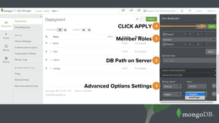 1Member Roles
2DB Path on Server
3Advanced Options Settings
4CLICK APPLY
 